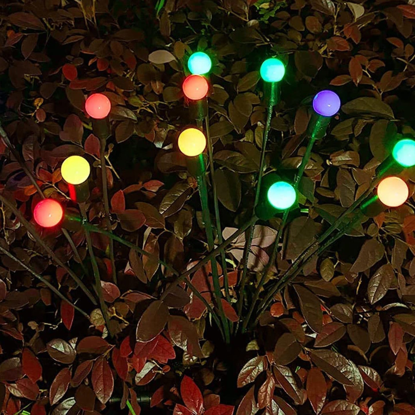 Bouquet de LED Solaires