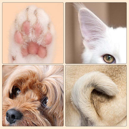 Zones à entretenir : coussinets, oreilles, contour des yeux, queue