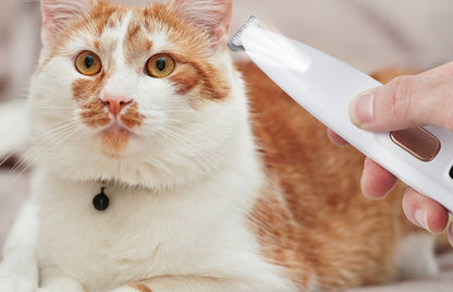 Chat roux et blanc pendant la tonte avec la tondeuse Patoune