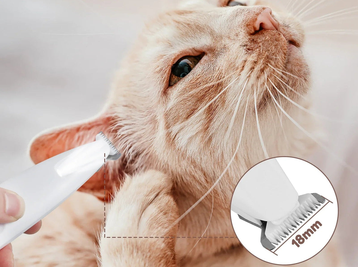 Tondeuse Patoune près de la joue d'un chat, gros plan sur la lame de 18 mm