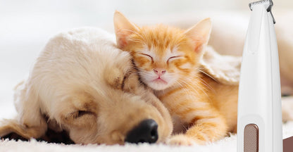 Chiot et chaton endormis à côté de la tondeuse Patoune